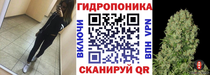 Купить закладку Псилоцибиновые грибы Alpha PVP Меф Канабис ГАШ Тырныауз