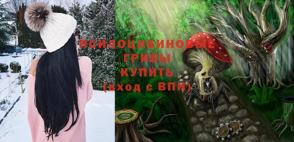 не бодяженный Инсар