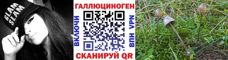 Купить закладки  Тырныауз  Псилоцибиновые грибы мухоморы 
